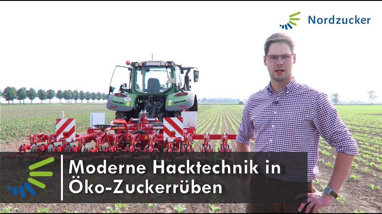 Moderne Hacktechnik in Öko Zuckerrüben