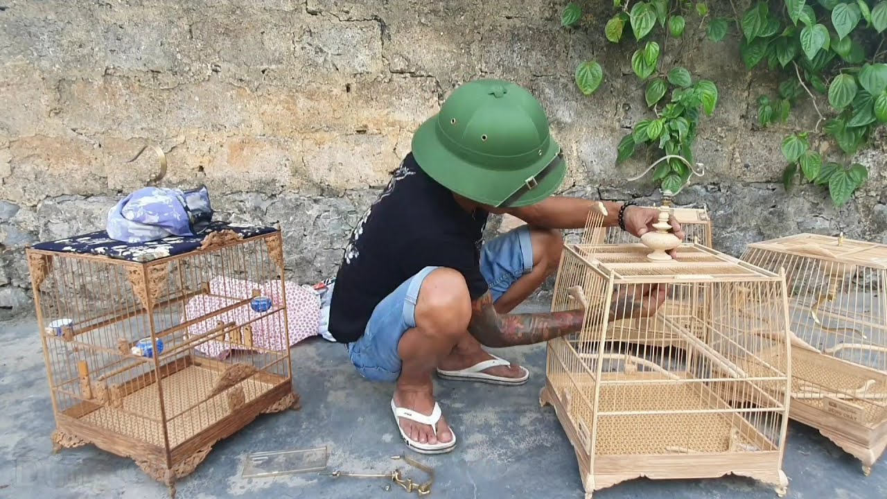 LỒNG CHIM ĐƠN GIẢN NHƯNG CỰC CHẤT//Chia sẻ kinh nghiệm khi đặt lồng