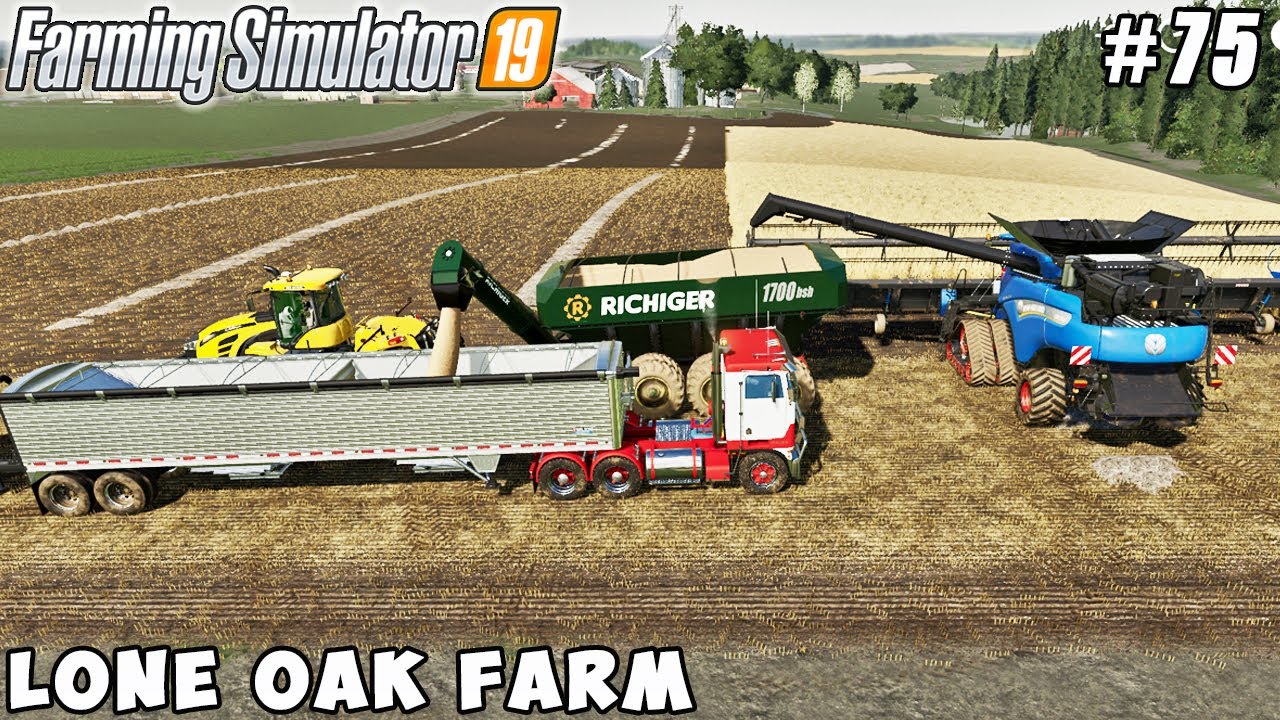 Harvesting soybeans, making & selling soybean straw bales | Lone Oak Farm | FS 19 | Timelapse #75