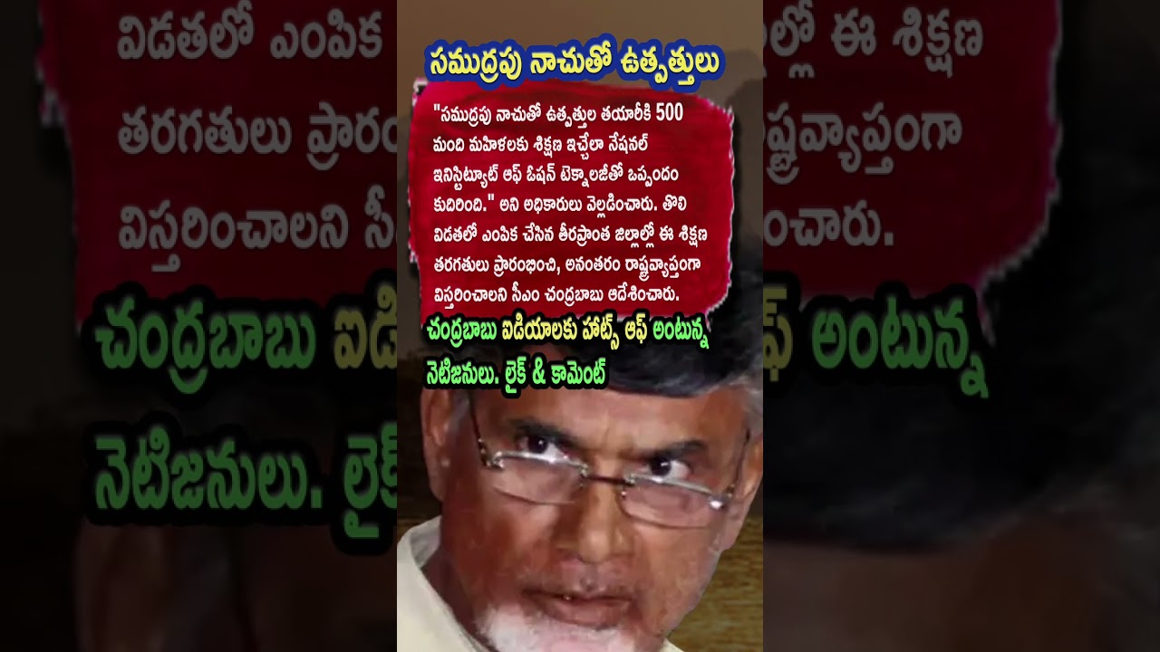 AP Politics, CM Chandrababu Naidu Orders Seaweed Training Across AP Districts