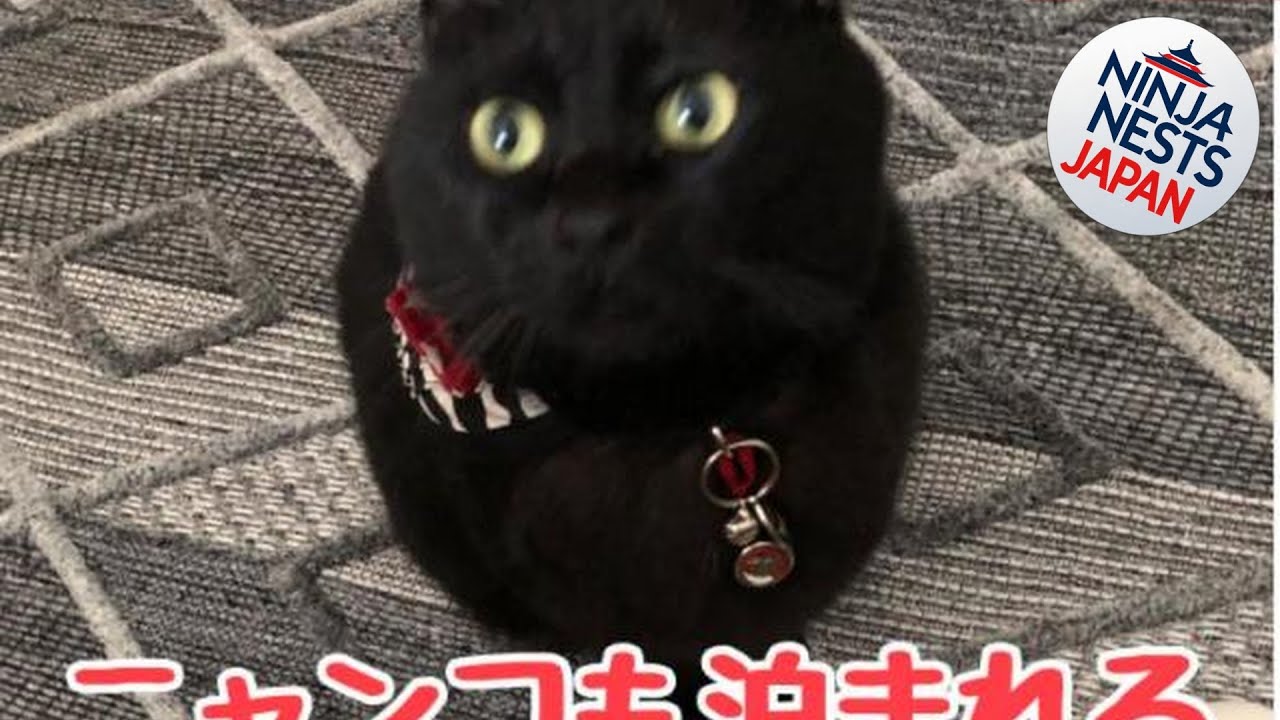 男性のみでの利用不可ーペット連れ歓迎 女性連れ専用ーotomari MUSUHIータイ古式マッサージや妊産婦ケアが受けられる 源泉掛け流し温泉側の宿 ドッグラン可 | Japan ⭐