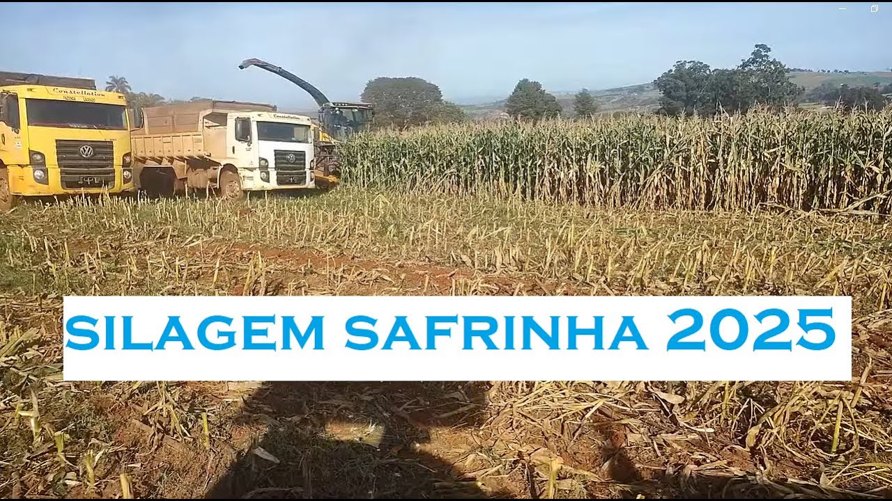 SILAGEM SAFRINHA 2025