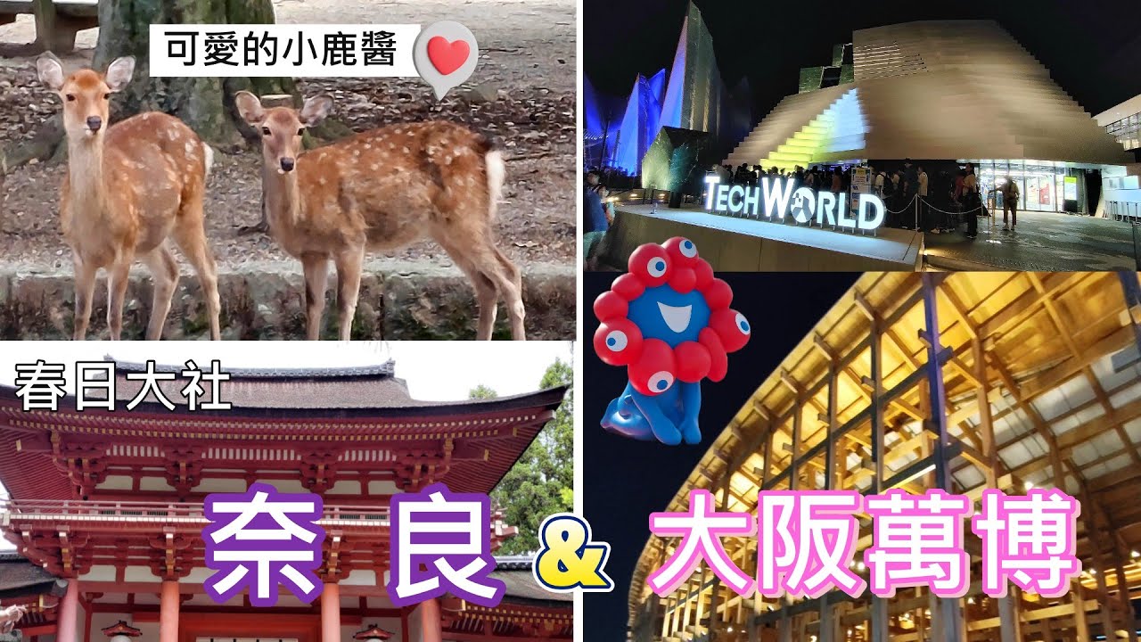 🇯🇵 day5 奈良 + day6 大阪萬博。小鹿也有宮鬥劇戲碼 ! 我們在萬博的科技館表現可以驕傲說是非常優秀的呢 ! 👍 / 🧳名版京奈 8日天天開心自由旅 Ep.3