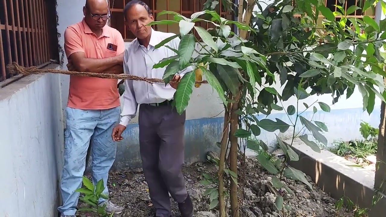 Medicinal Garden in VIP Nagar High School on Earth Day