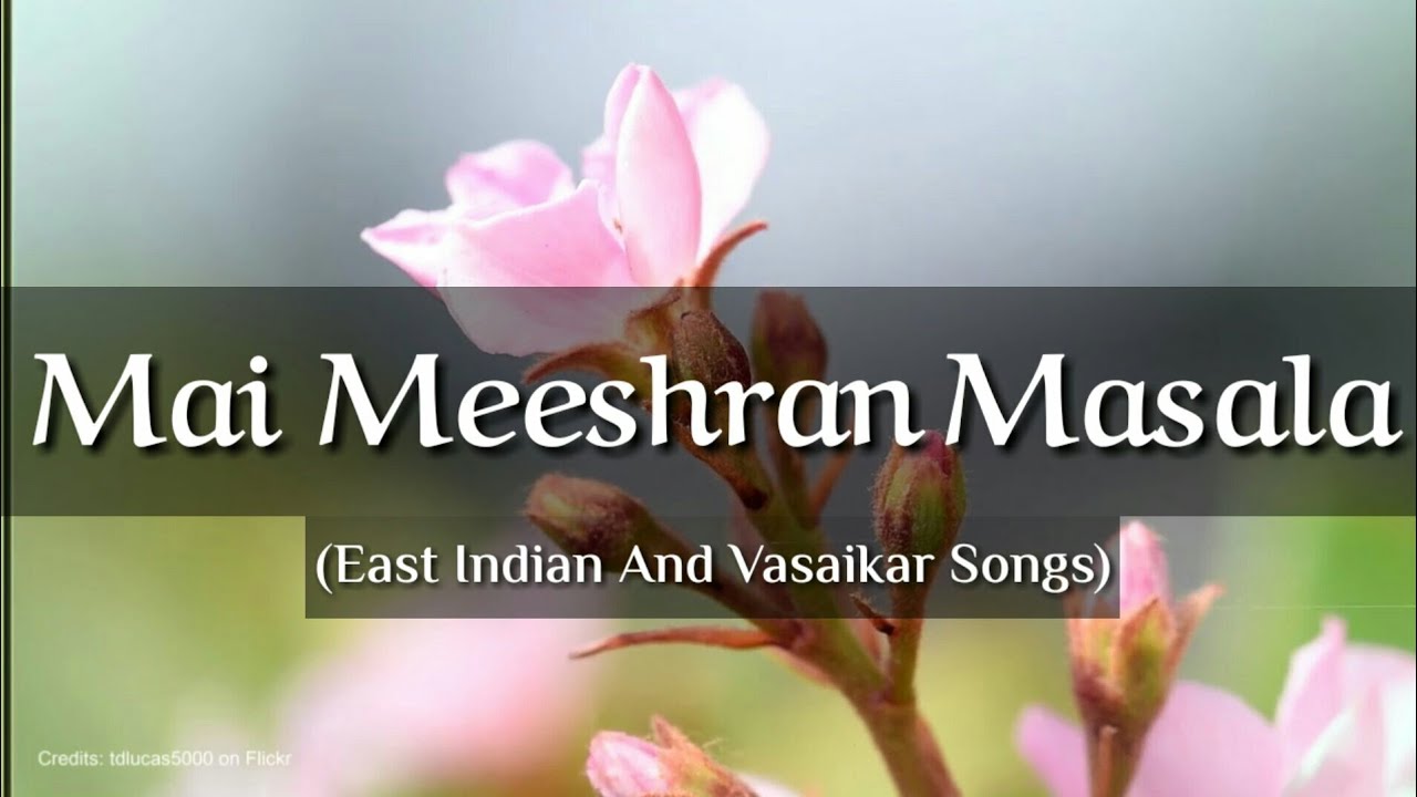 Mai Meeshran Masala Mix
|East indain and Vasaikar Songs