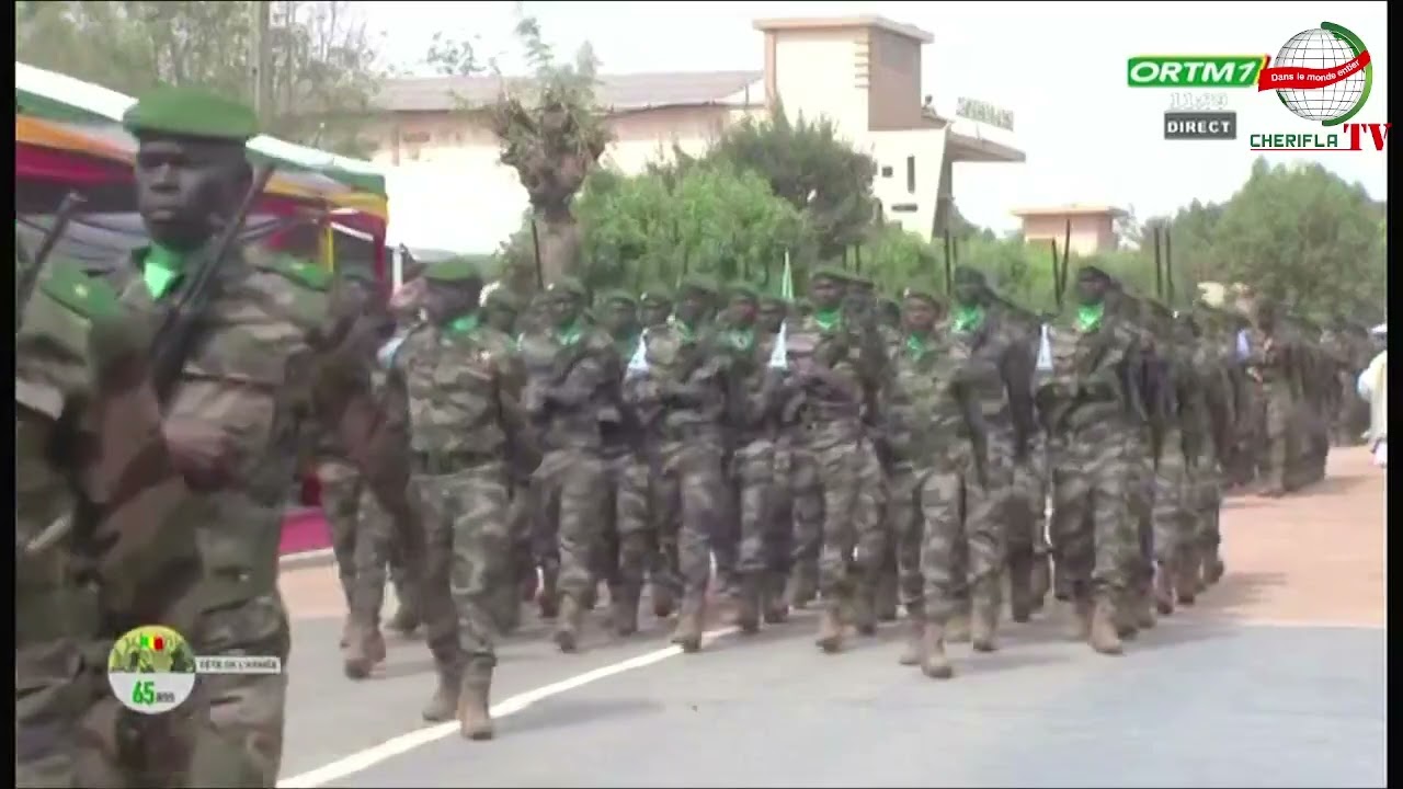 Fête des armées - Défilé militaire de Troupes Partie 2 20 janvier 2026