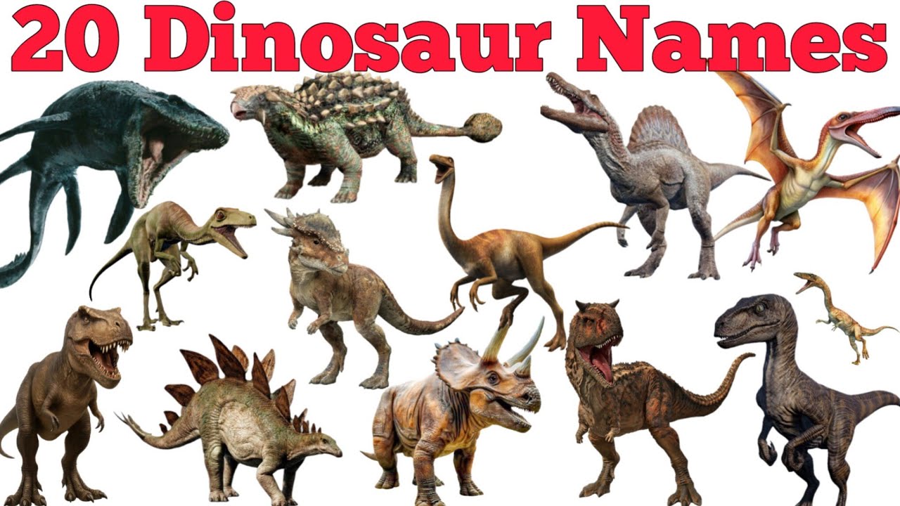Learn 20 Dinosaur Names In English & Hindi With Fun Facts | Fun Learning For Children