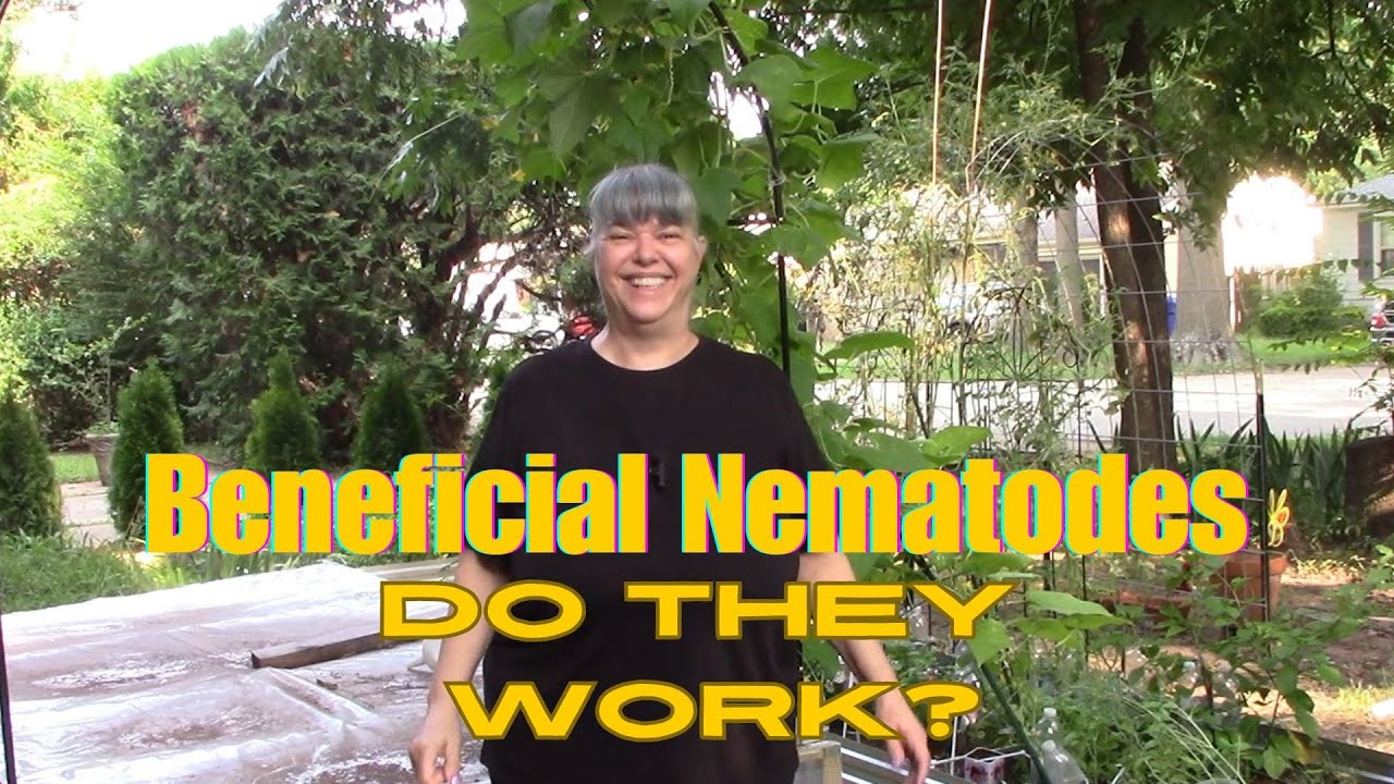 Trying Beneficial Nematodes: My Experience and Results
