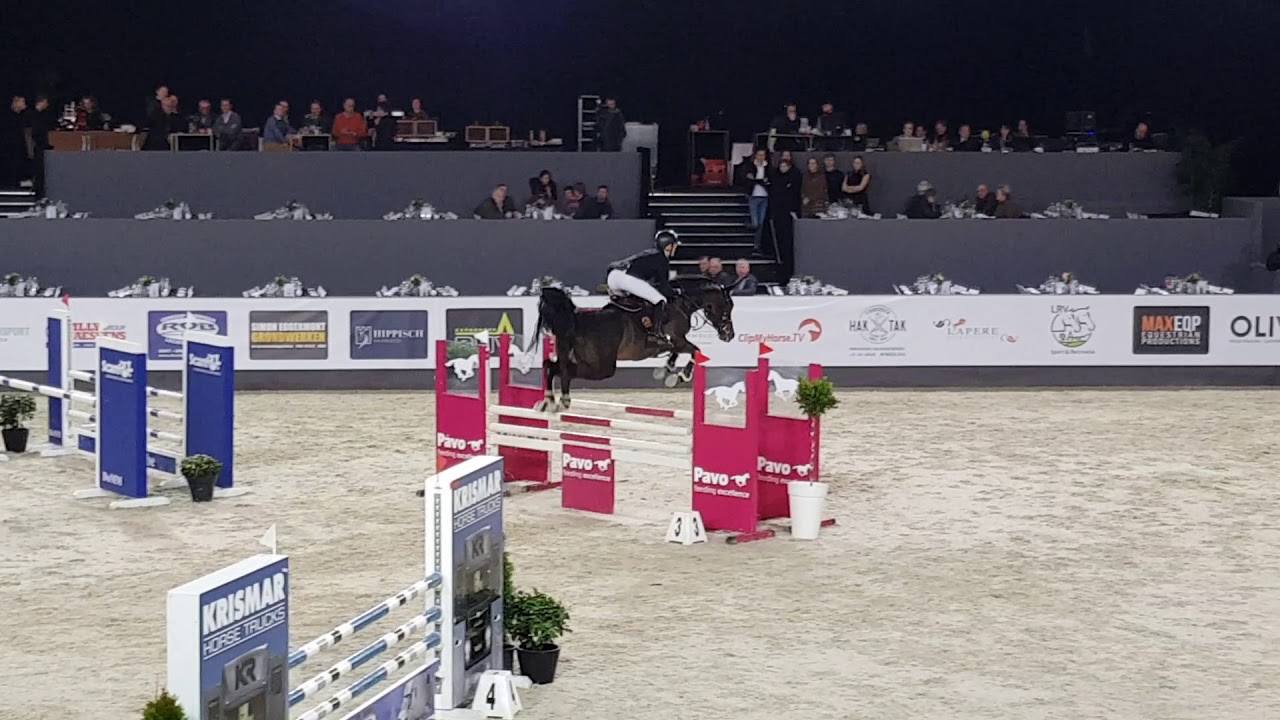Pegase van 't Ruytershof  - Stallion Competition Ghent 2020