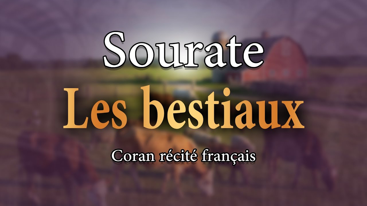 Sourate 6 Al An'âm - Les Bestiaux (Français-Arabe)