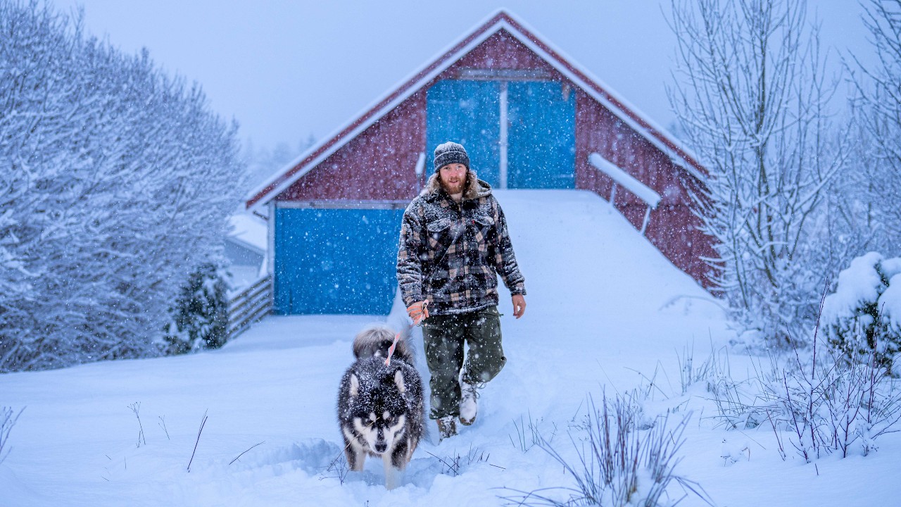 Quiet life on a farm up north 🇳🇴