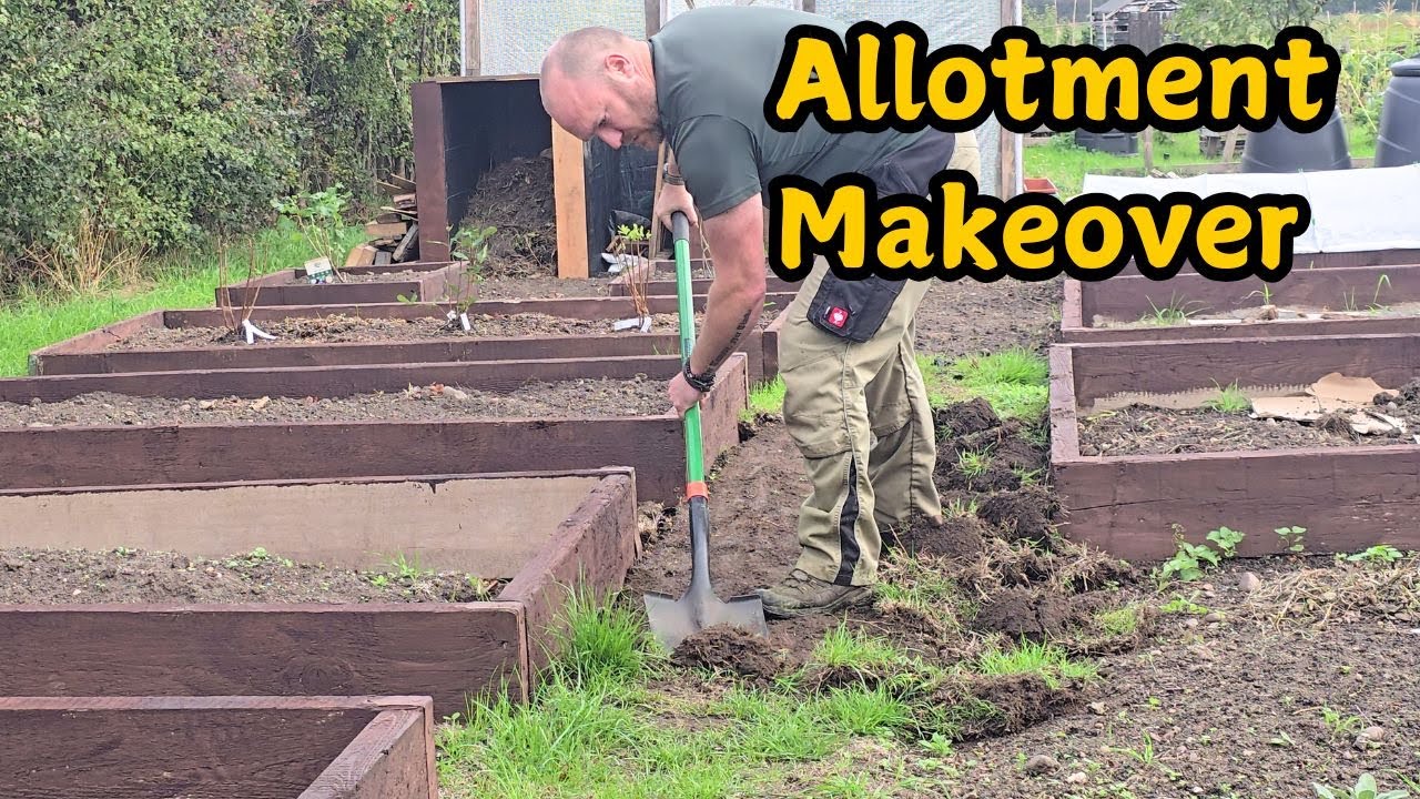 Back at the Allotment! Winter Crops, Raised Beds & A Big Tidy-Up
