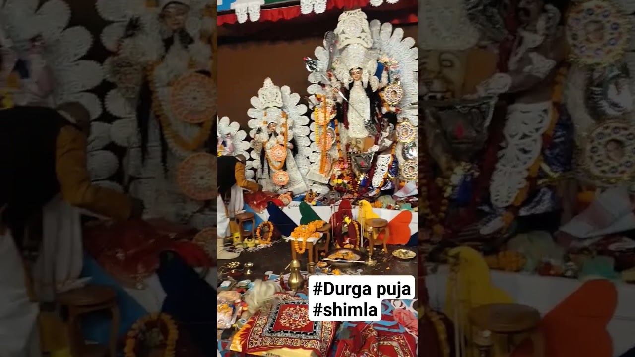 #Durga puja #kali bari #shimla