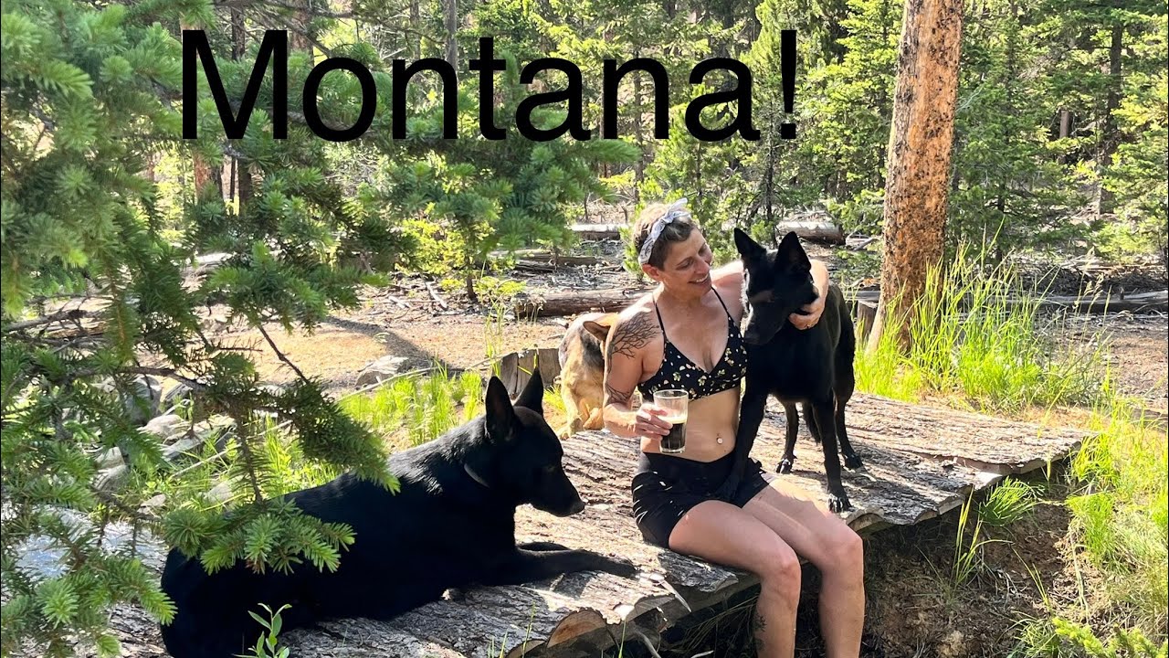 Skoolie trip to Montana!