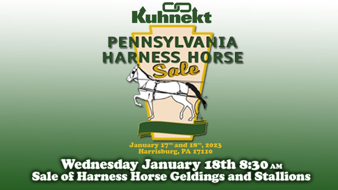 2023 PA Harness Horse Sale -  Sale of Geldings and Stallions