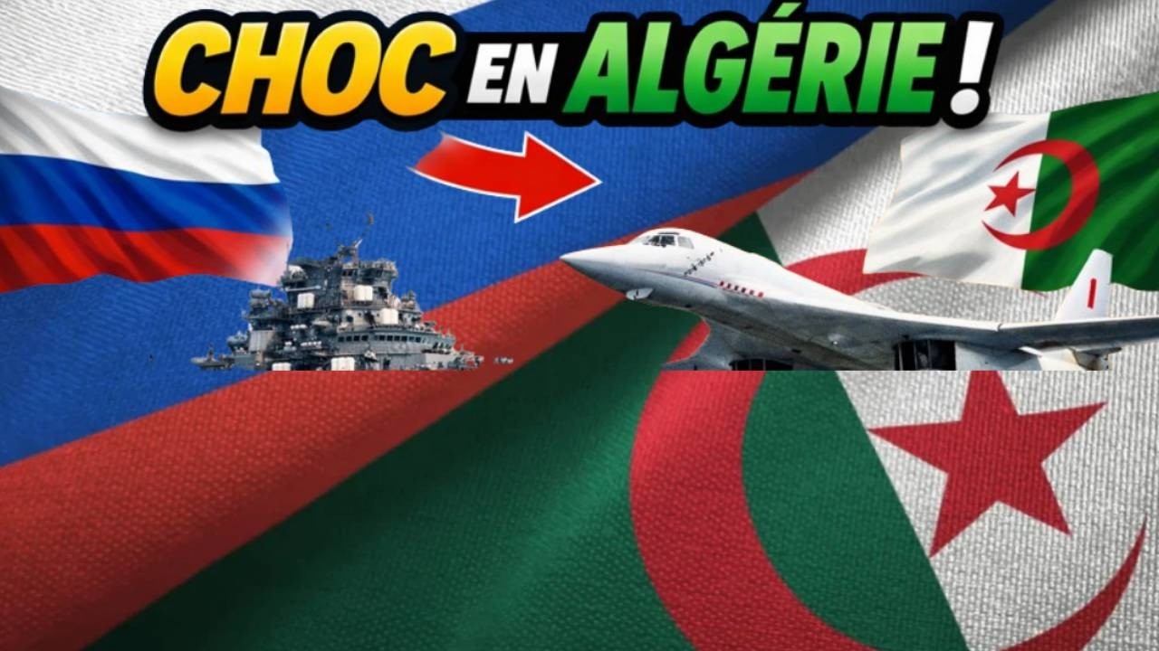 Ces invités russes font sensation en Algérie !
