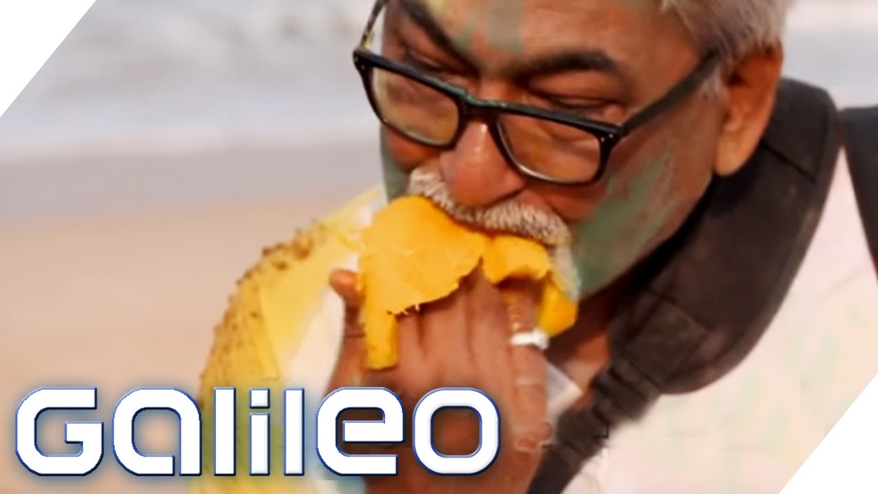Darum sind die Inder so verrückt nach Mango | Galileo | ProSieben