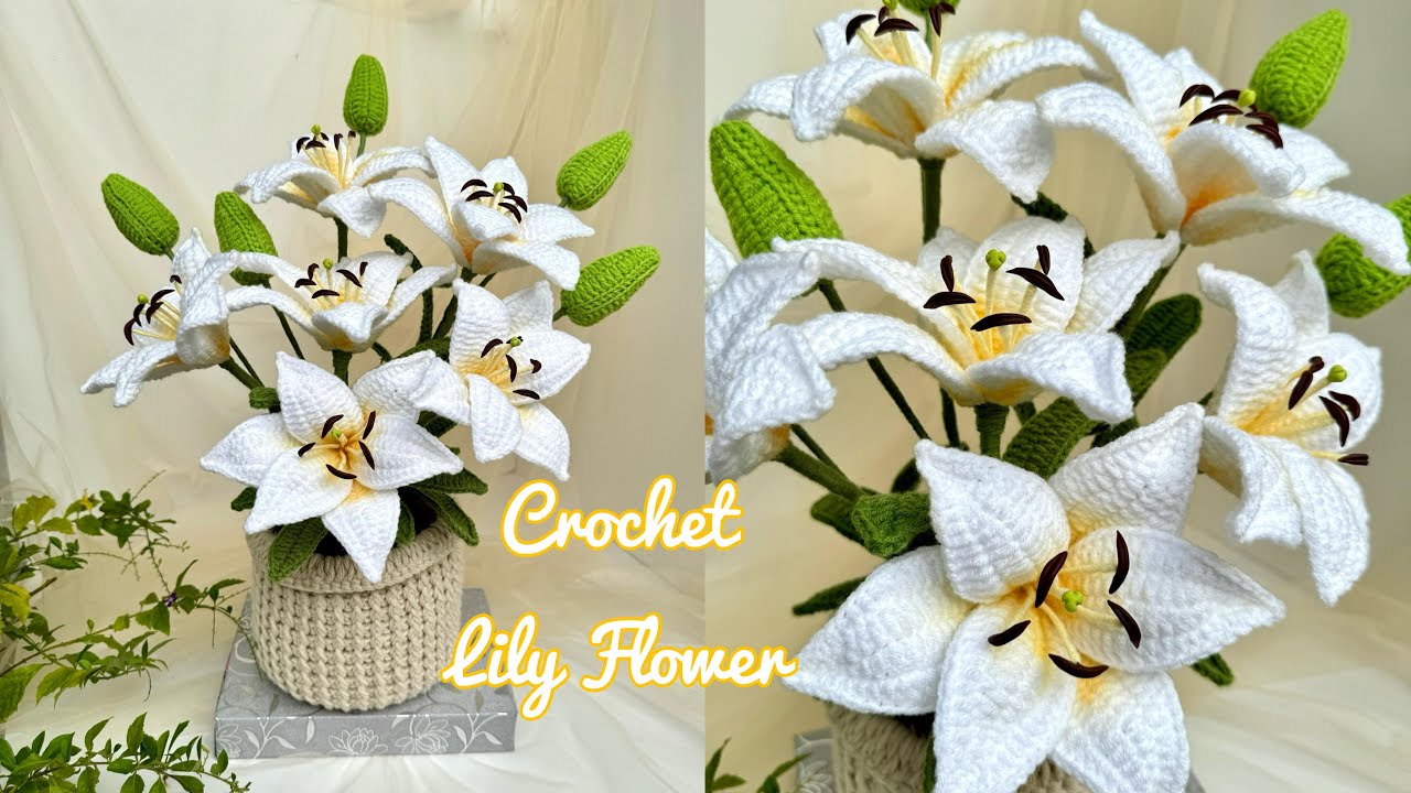 #235 Crochet Lily Flower | Móc Chậu Hoa Ly Để Bàn Cực Lớn | Dương Liễu Handmade