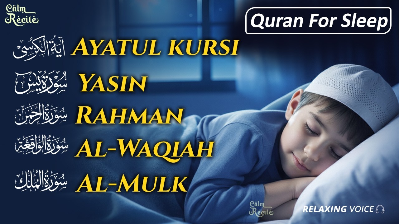 Relaxing Quran Recitation for Deep Sleep | Surah Fatiha, Ayatul Kursi, Rahman, Mulk, Yasin, Waqiah
