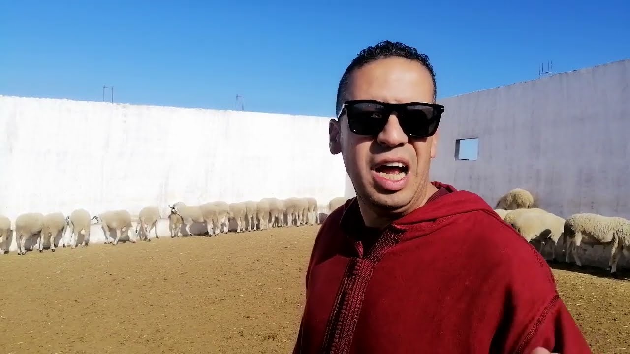 حولي العيد 2022 من ضيعة المايسترو فريد لمزابي ابتداءا من 3000 درهم ❤️