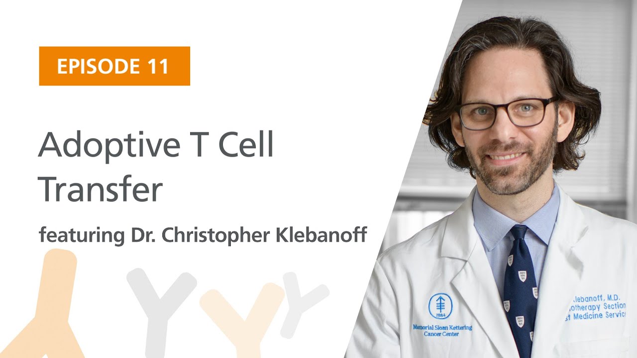 Adoptive T Cell Transfer featuring Dr. Christopher Klebanoff | The Immunology Podcast