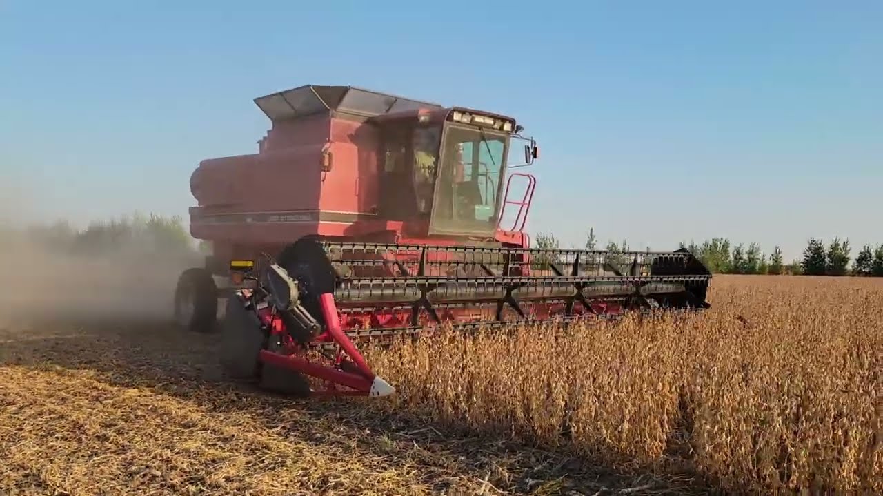 Case 1660 2023 Soybean harvest