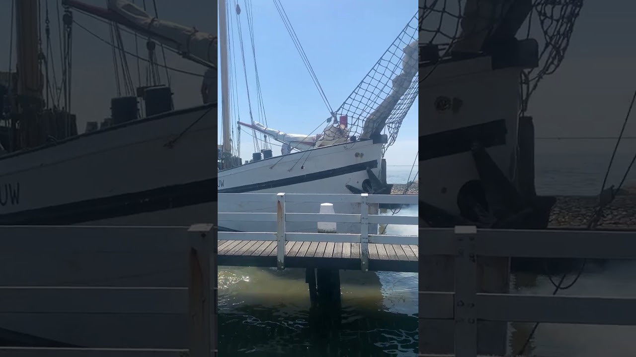 Tweemaster Zeemeeuw pakt een paaltje bij invaren Vlieland