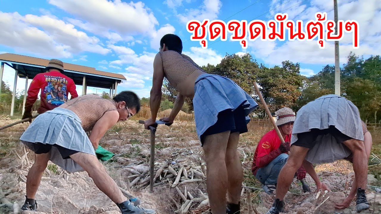 พี่ๆมาขุดมันช่วยเจ้ตุ้ยแน่จร้า ....