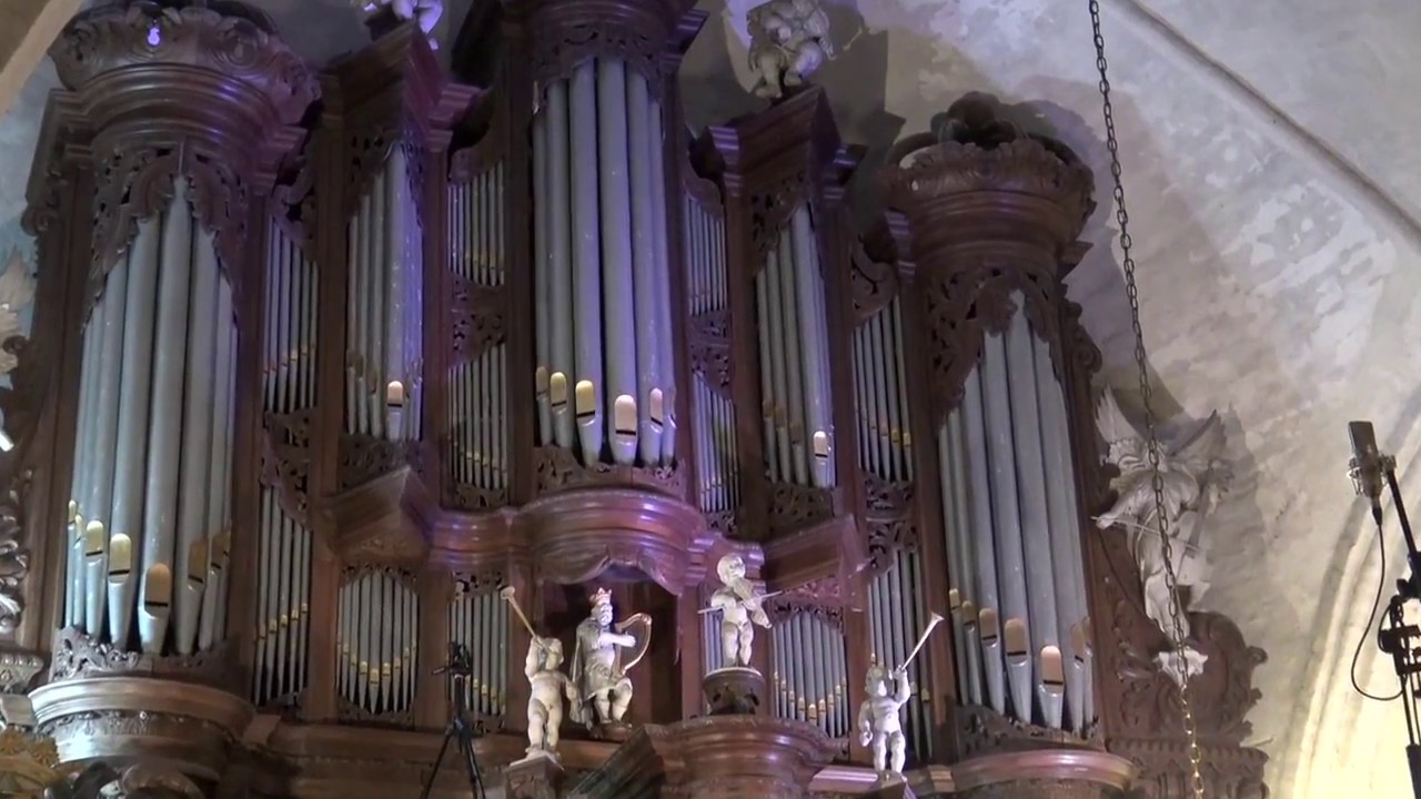 Walther Concerto B Minor LV133 (after Vivaldi RV 275)Part III #WILLEMvanTWILLERT  Hinsz-organ Leens