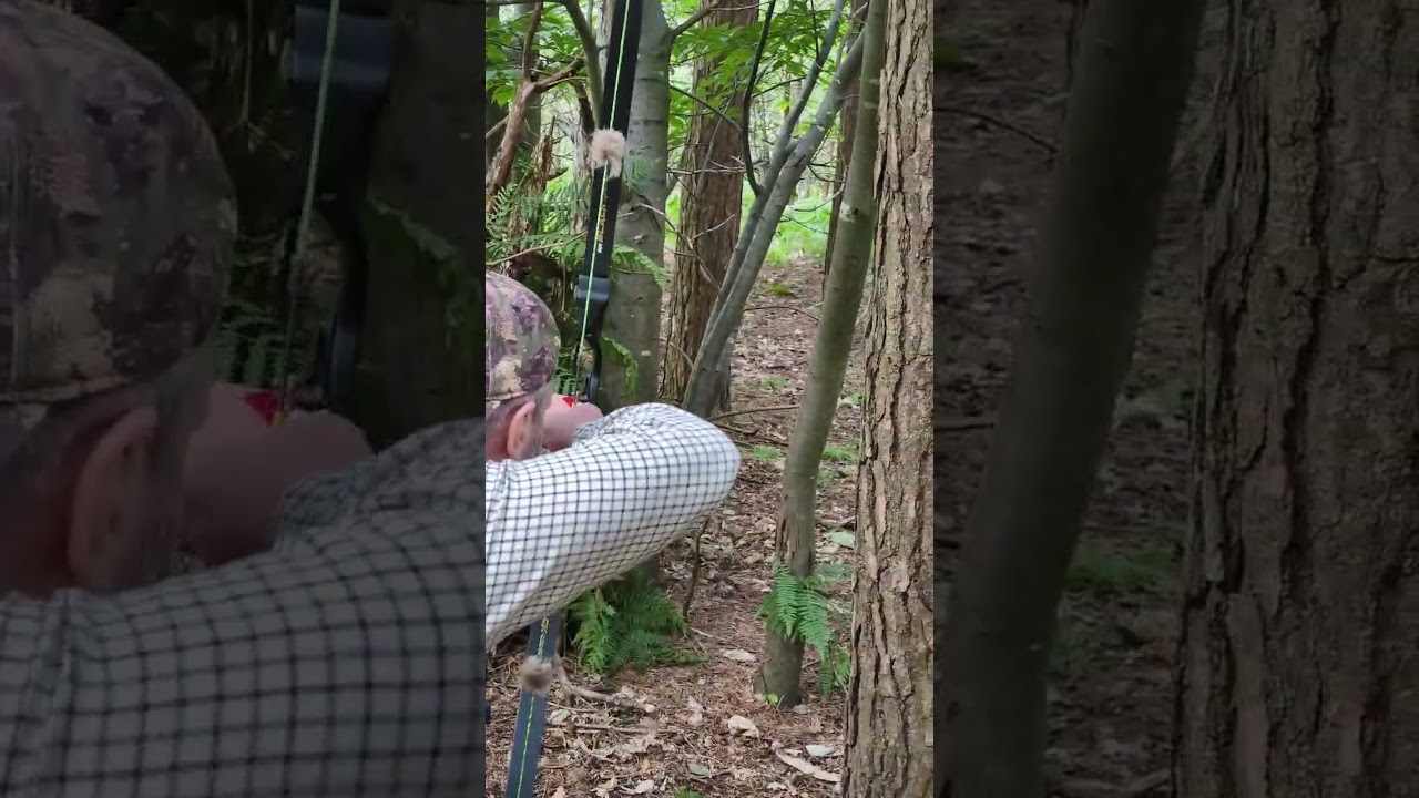 3d Weasel Target - Win&Win Black Wolf Recurve Rig.