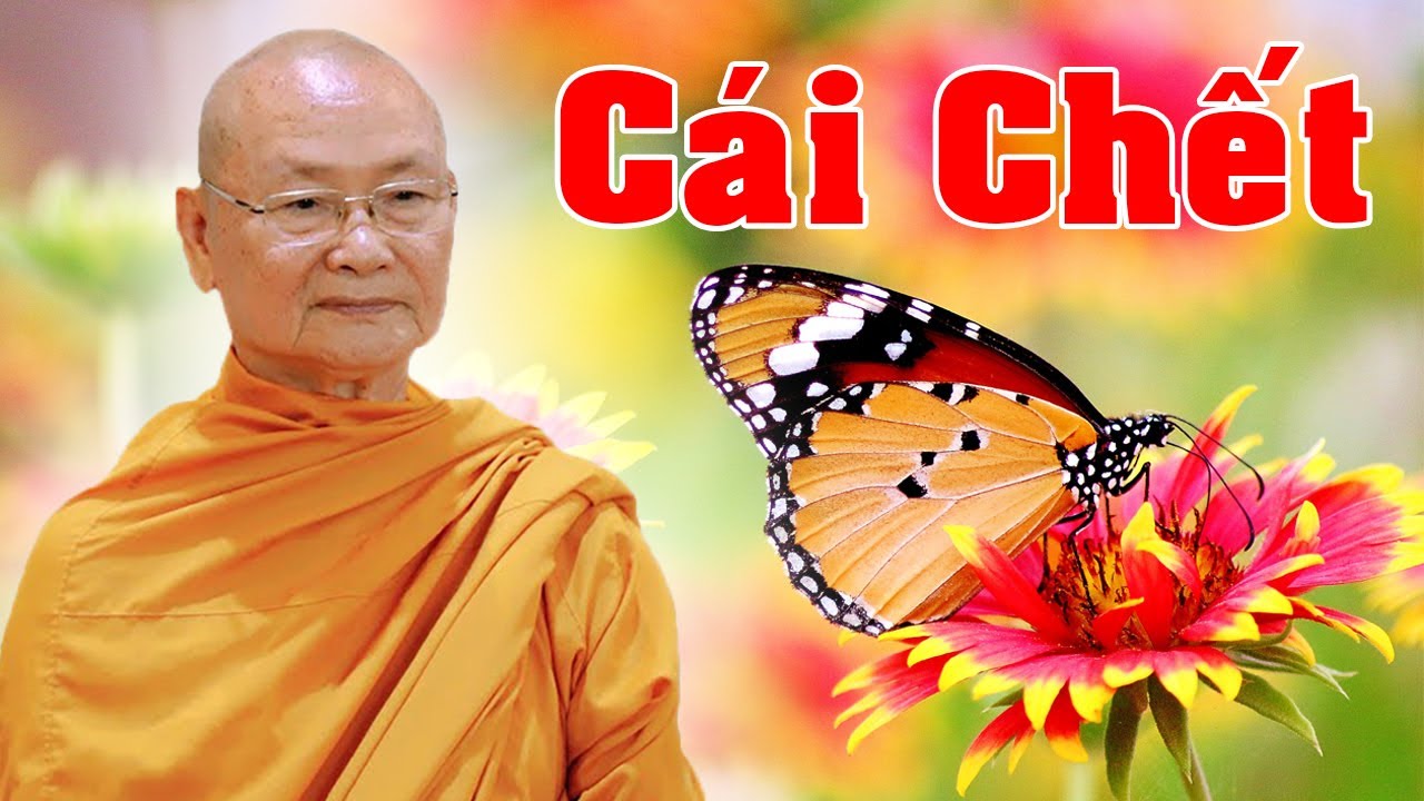 Chuẩn Bị Cho Cái Chết | HT Viên Minh Giảng | Phật Pháp Vấn Đáp