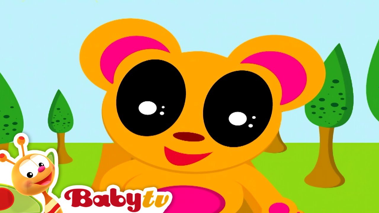 Saves | vous planter le choux | BabyTV Français