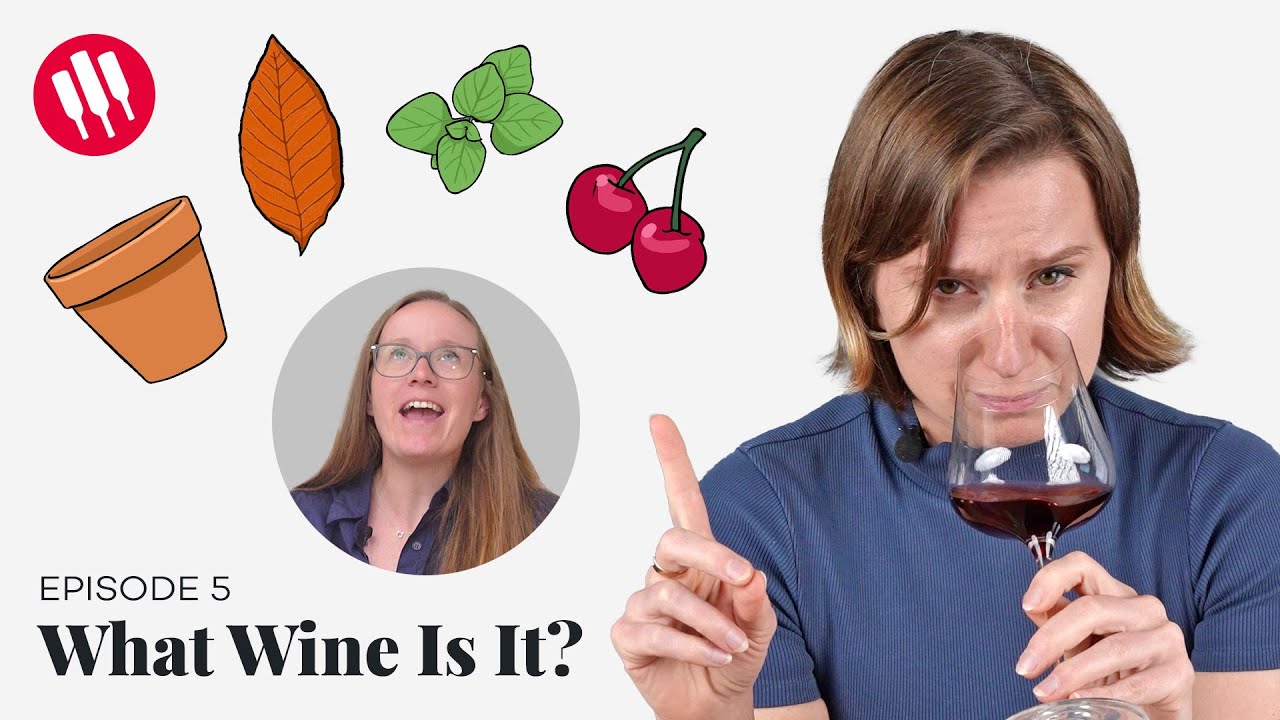 Learn by Tasting (ep.5) Wine Folly