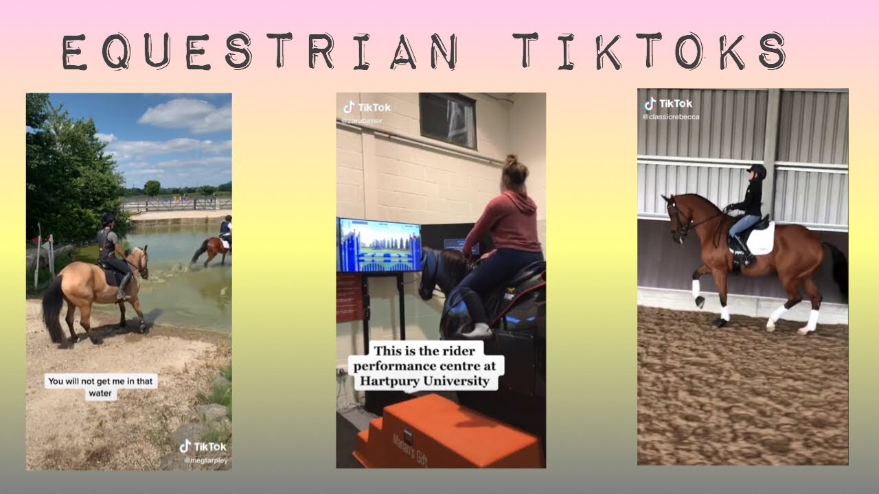 TIKTOKS FOR THE EQUESTRIANS OUT THERE | OakleyEquine