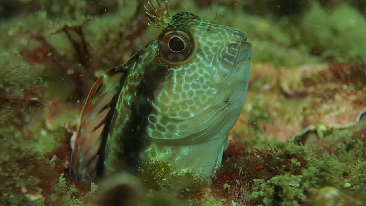 You looking at me?