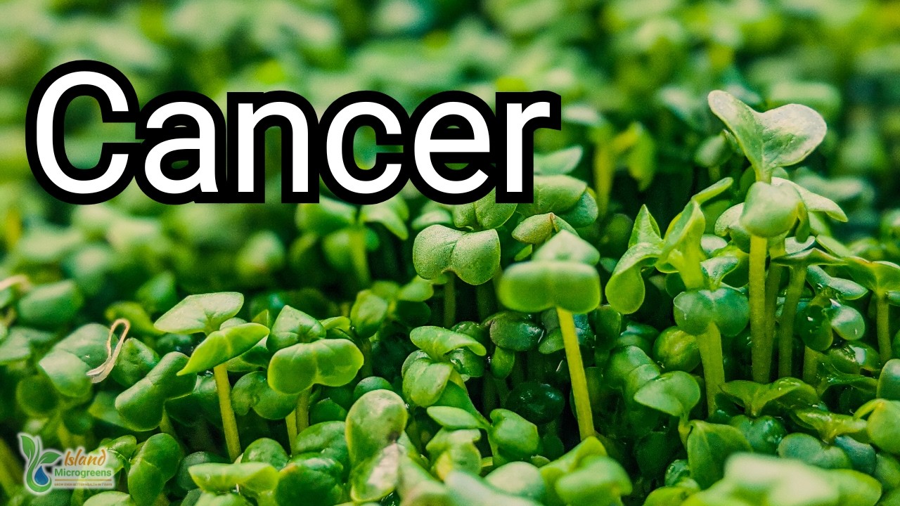Microgreens & Cancer: What the Research Really Says (2026 Thinking)
