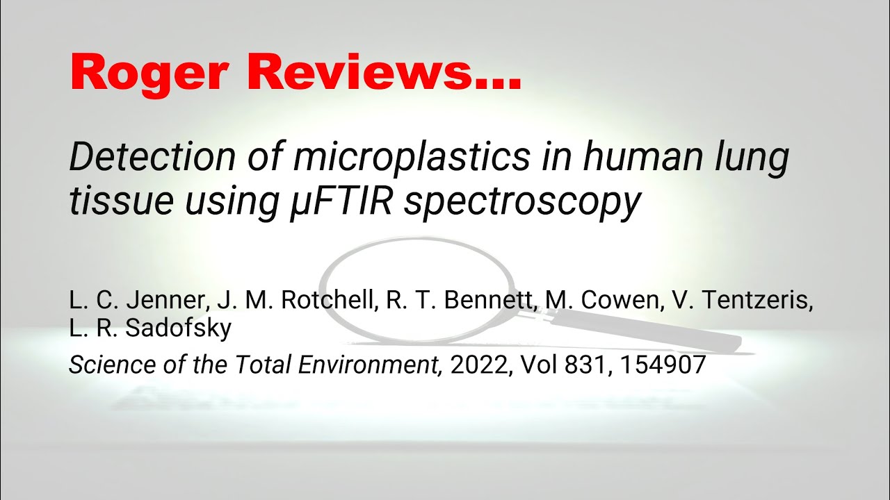 3. Microplastics in Human Lungs?