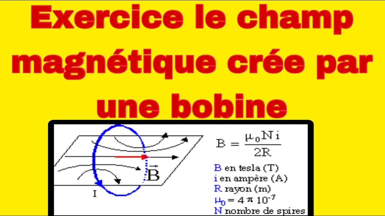 champ magnétique crée par une bobine plate #1bacbiof