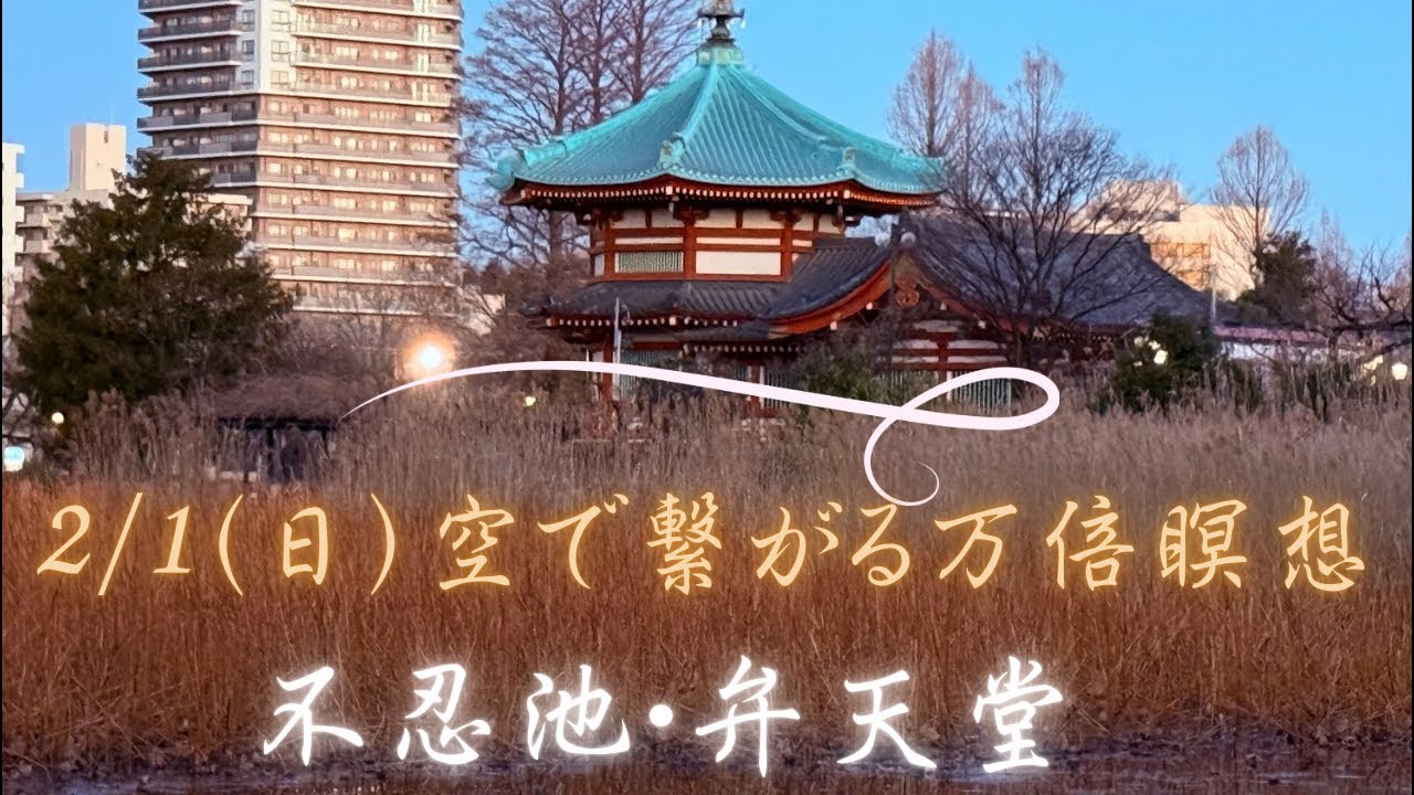 空で繋がる万倍瞑想 がライブ配信中！東京都台東区/上野恩賜公園〜弁天堂・日の出6:41・摂氏1°c」明日から“空で繋がる万倍瞑想@タイ🇹🇭チェンマイ紀行”