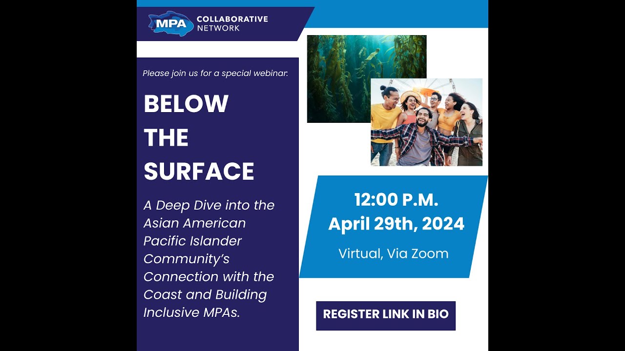 AAPI Webinar: Below the Surface