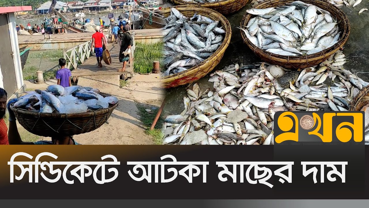 উদ্বোধনের পরও চালু হয়নি মহিপুর মৎস্য অবতরণ কেন্দ্র | Kolapara BFDC Fish | Ekhon TV