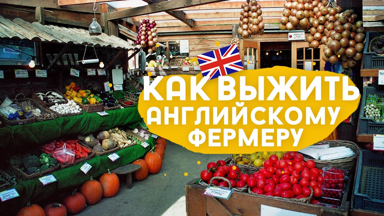 Фермерский магазин, радиоактивное стекло и морская перезагрузка