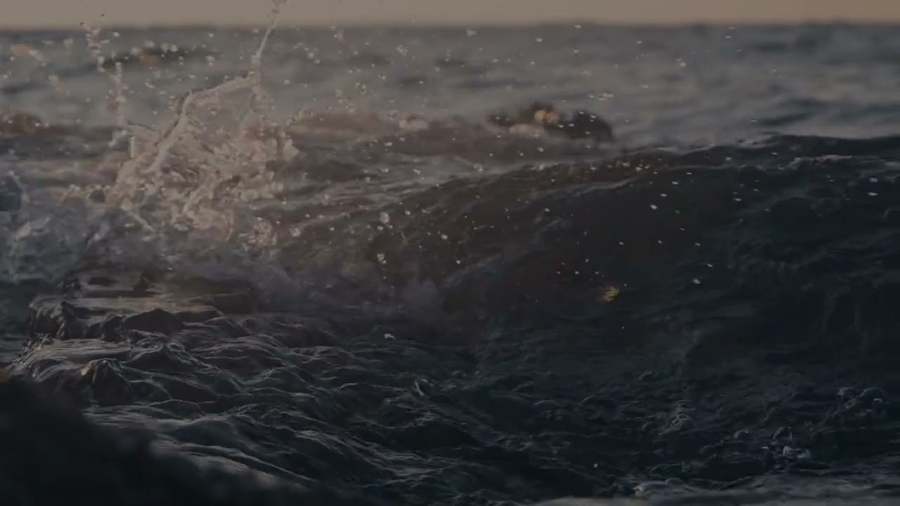 “Slow Down — Everything Is Unfolding”