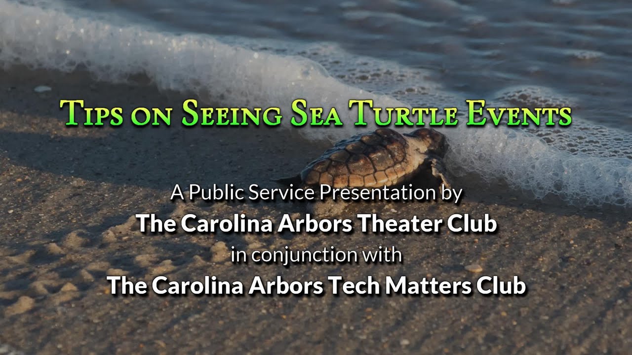 Episode 35 - Tips On Seeing Sea Turtle Events