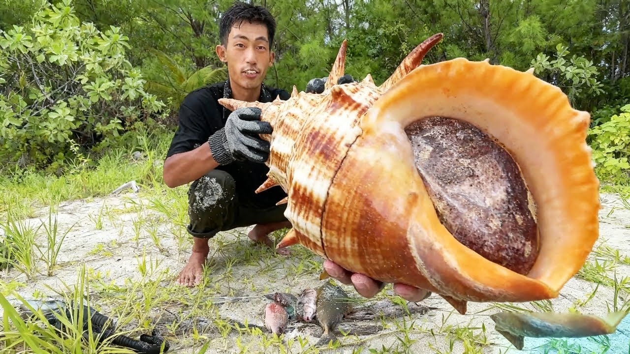 巨蟹島荒島生存挑戰（中）！搭建庇護所後潛水尋找食物，意外發現大批蜘蛛螺和龍蝦【探索兄弟】
