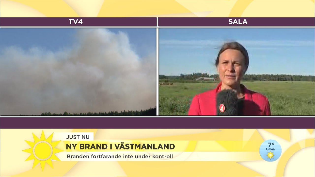 Branden utanför Sala är fortfarande inte under kontroll – ”Fler kan tvingas eva - Nyhetsmorgon (TV4)