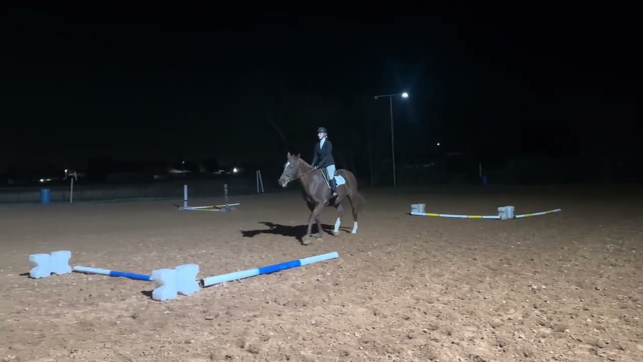 February - H-015 Walk Trot Hunter O/F Poles - Amanda Martin -Parasol GSF