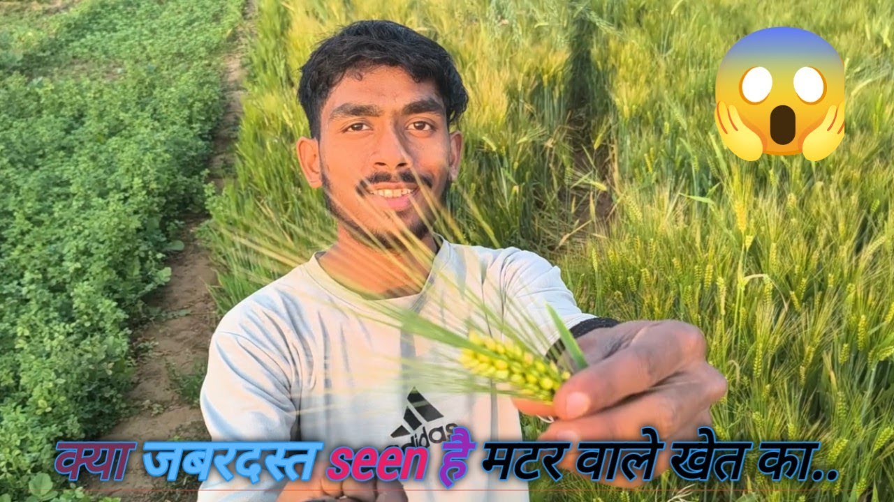 Kheto ki ताजगी 🌾💕❣️