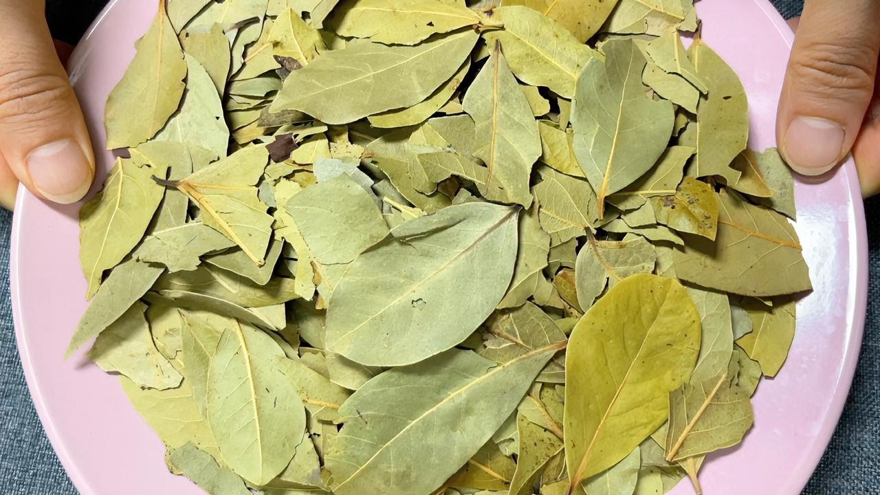夏天經常吃補藥，不如用香葉這樣泡水喝，三高平穩，睡眠好身體棒 【百變小廚坊】#補藥 #香葉 #三高