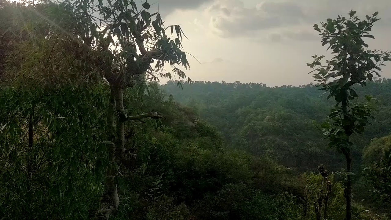 Himachali khet vlog #hpdevbhoomi @hpdevbhoomi
